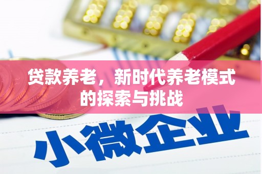 赫山贷款养老，新时代养老模式的探索与挑战
