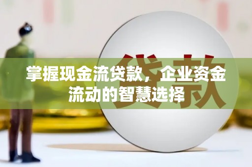 赫山掌握现金流贷款，企业资金流动的智慧选择
