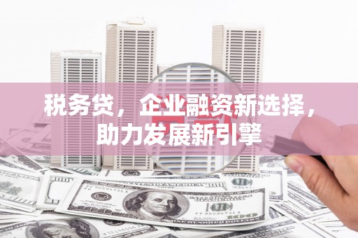 赫山税务贷，企业融资新选择，助力发展新引擎