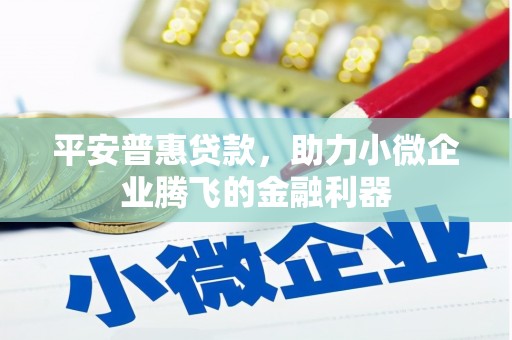赫山平安普惠贷款，助力小微企业腾飞的金融利器