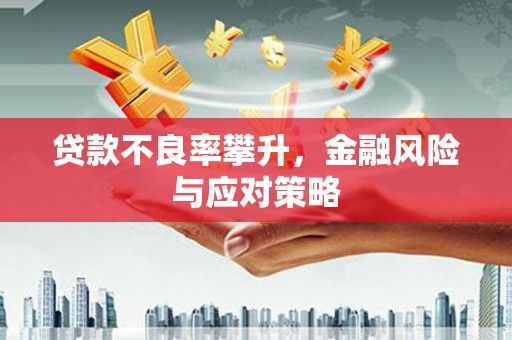 赫山贷款不良率攀升，金融风险与应对策略