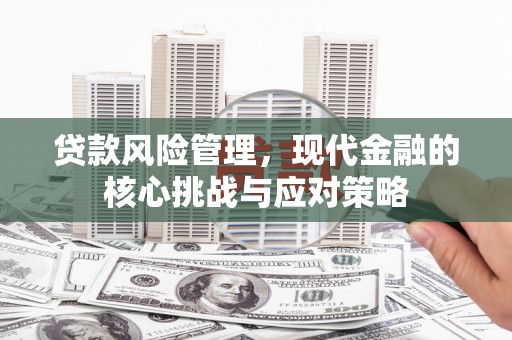 赫山贷款风险管理，现代金融的核心挑战与应对策略