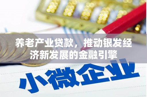赫山养老产业贷款，推动银发经济新发展的金融引擎