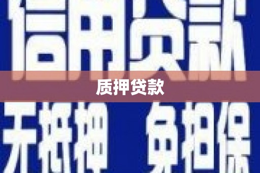 赫山质押贷款