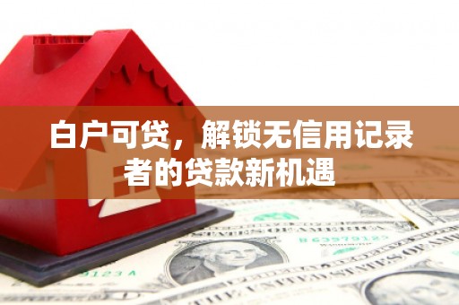 赫山白户可贷，解锁无信用记录者的贷款新机遇