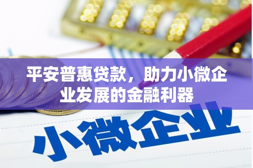 赫山平安普惠贷款，助力小微企业发展的金融利器