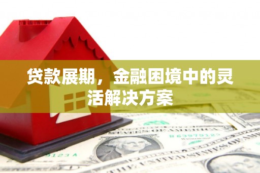 赫山贷款展期，金融困境中的灵活解决方案