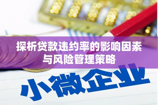 赫山探析贷款违约率的影响因素与风险管理策略