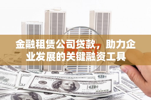 赫山金融租赁公司贷款，助力企业发展的关键融资工具