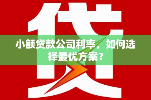 赫山小额贷款公司利率，如何选择最优方案？