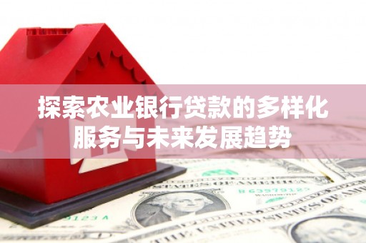 赫山探索农业银行贷款的多样化服务与未来发展趋势