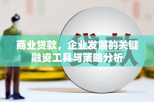 赫山商业贷款，企业发展的关键融资工具与策略分析