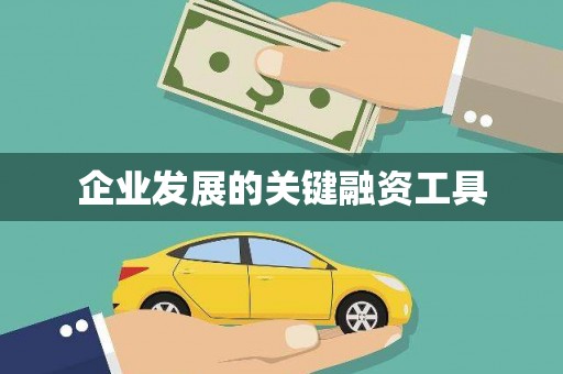 赫山企业发展的关键融资工具