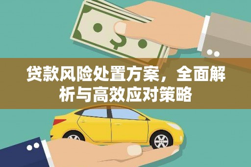 赫山贷款风险处置方案，全面解析与高效应对策略