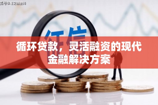 赫山循环贷款，灵活融资的现代金融解决方案