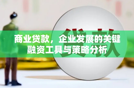 赫山商业贷款，企业发展的关键融资工具与策略分析