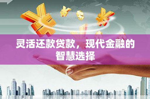 赫山灵活还款贷款，现代金融的智慧选择