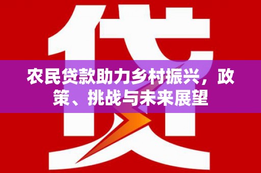 赫山农民贷款助力乡村振兴，政策、挑战与未来展望