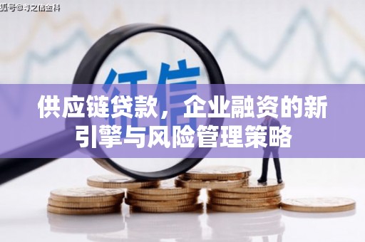 赫山供应链贷款，企业融资的新引擎与风险管理策略