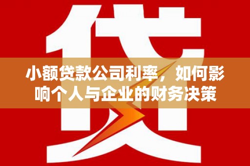 赫山小额贷款公司利率，如何影响个人与企业的财务决策