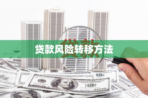 赫山贷款风险转移方法