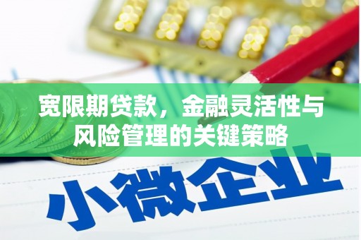 赫山宽限期贷款，金融灵活性与风险管理的关键策略