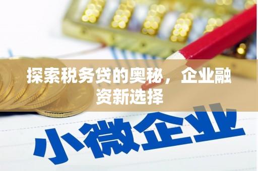 赫山探索税务贷的奥秘，企业融资新选择