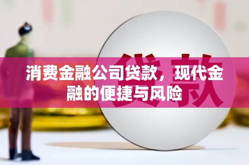 赫山消费金融公司贷款，现代金融的便捷与风险