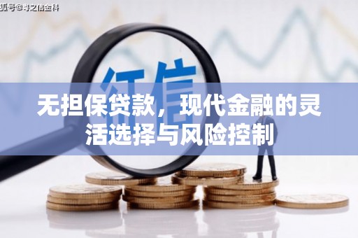 赫山无担保贷款，现代金融的灵活选择与风险控制