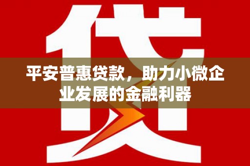 赫山平安普惠贷款，助力小微企业发展的金融利器