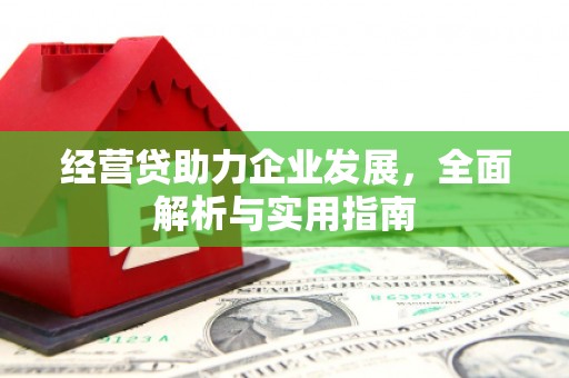 赫山经营贷助力企业发展，全面解析与实用指南