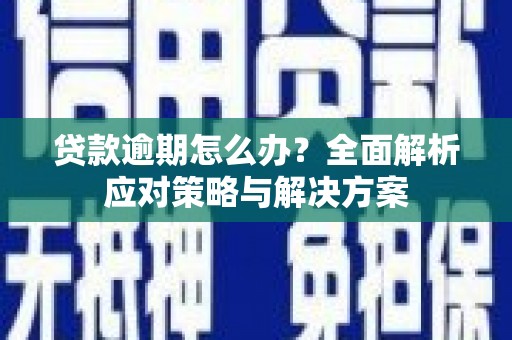 赫山贷款逾期怎么办？全面解析应对策略与解决方案