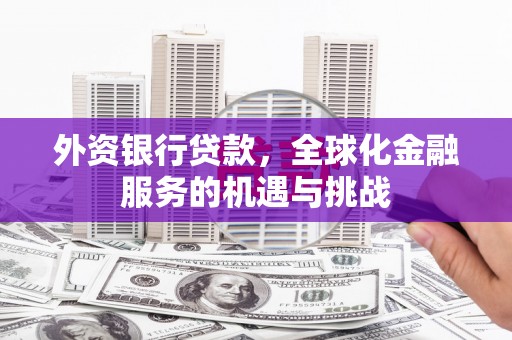 赫山外资银行贷款，全球化金融服务的机遇与挑战