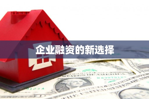 赫山企业融资的新选择