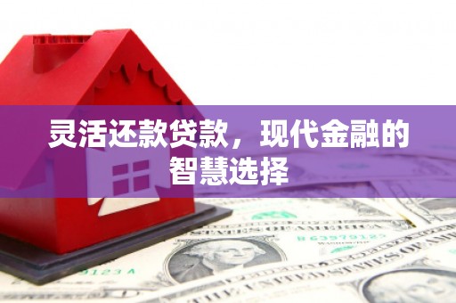 赫山灵活还款贷款，现代金融的智慧选择