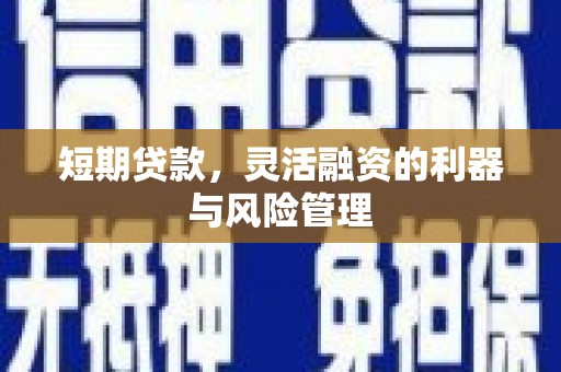 赫山短期贷款，灵活融资的利器与风险管理