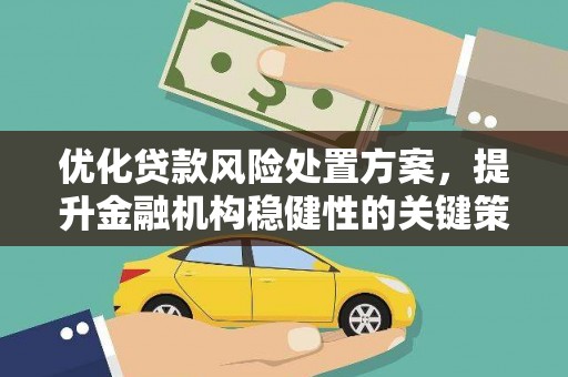 赫山优化贷款风险处置方案，提升金融机构稳健性的关键策略