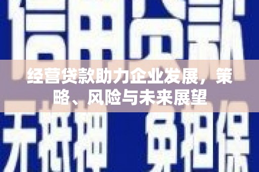 赫山经营贷款助力企业发展，策略、风险与未来展望