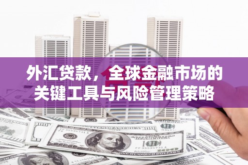 赫山外汇贷款，全球金融市场的关键工具与风险管理策略
