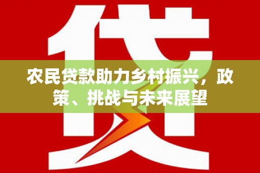 赫山农民贷款助力乡村振兴，政策、挑战与未来展望