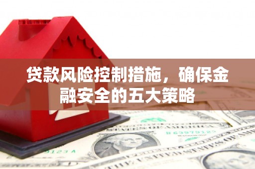 赫山贷款风险控制措施，确保金融安全的五大策略