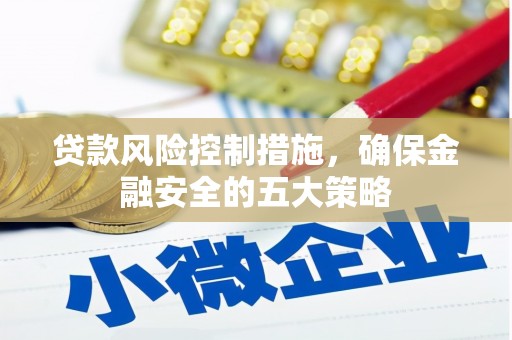 赫山贷款风险控制措施，确保金融安全的五大策略