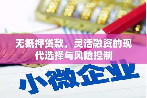 赫山无抵押贷款，灵活融资的现代选择与风险控制