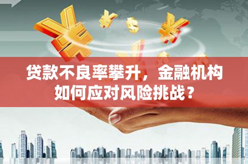 赫山贷款不良率攀升，金融机构如何应对风险挑战？