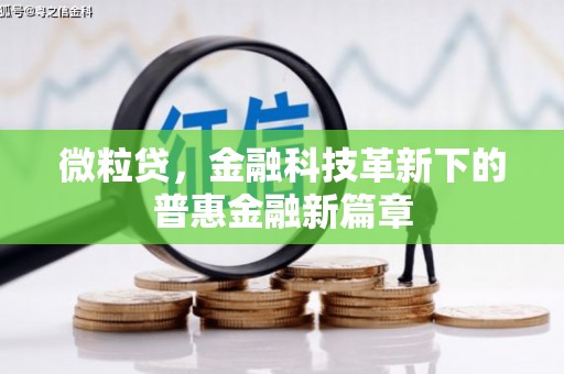 赫山微粒贷，金融科技革新下的普惠金融新篇章