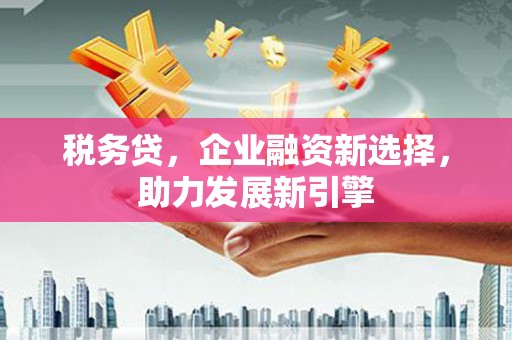 赫山税务贷，企业融资新选择，助力发展新引擎