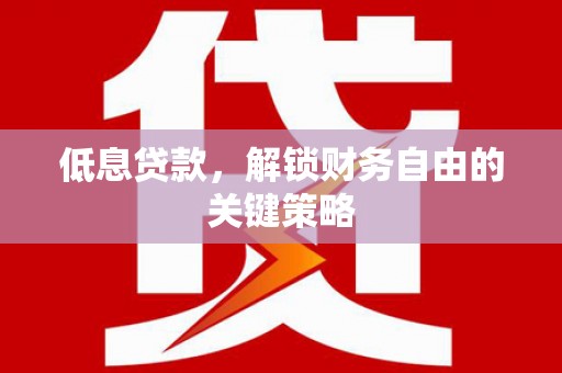 赫山低息贷款，解锁财务自由的关键策略