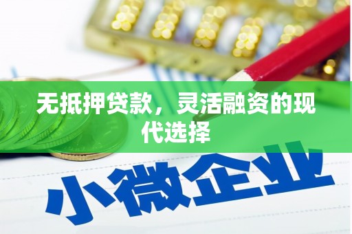 赫山无抵押贷款，灵活融资的现代选择