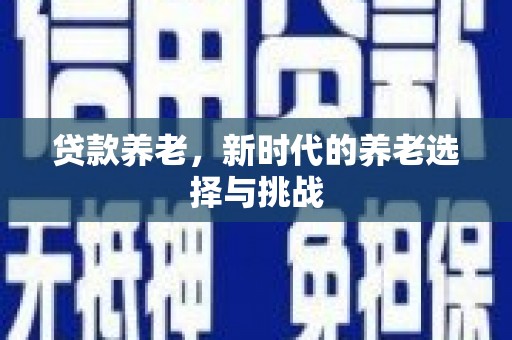 赫山贷款养老，新时代的养老选择与挑战