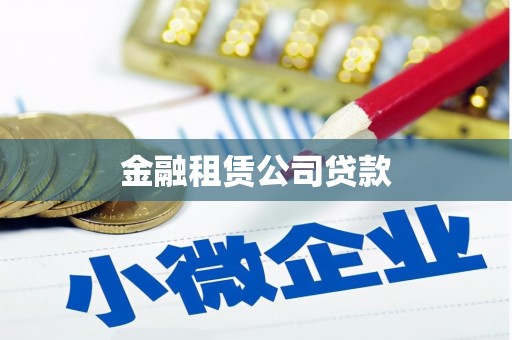 赫山金融租赁公司贷款